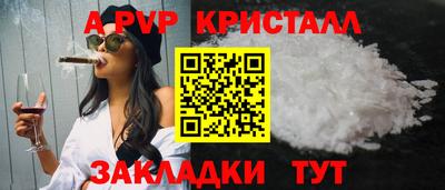 шишки Кандалакша
