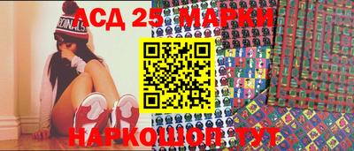 шишки Кандалакша