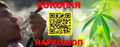 шишки Кандалакша