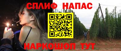 шишки Кандалакша