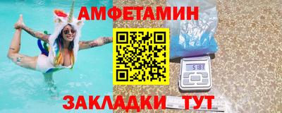 шишки Кандалакша