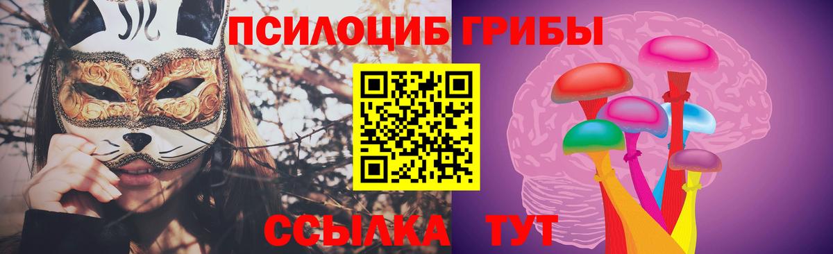 Галлюциногенные грибы мицелий  Вход с VPN  Псилоцибиновые грибы MAGIC MUSHROOMS  где купить наркоту  Евпатория 